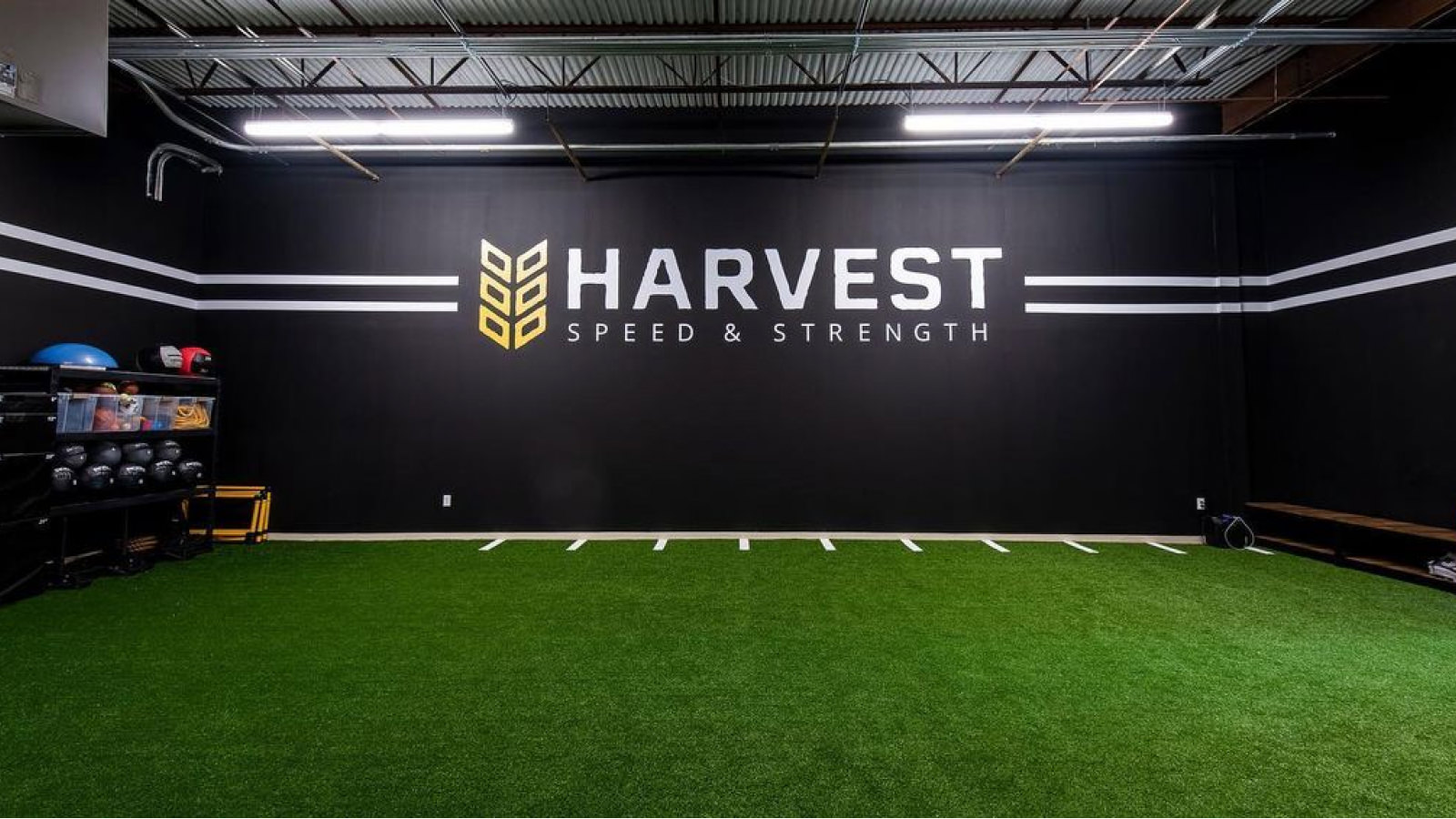 Harvest Speed & Strength preview